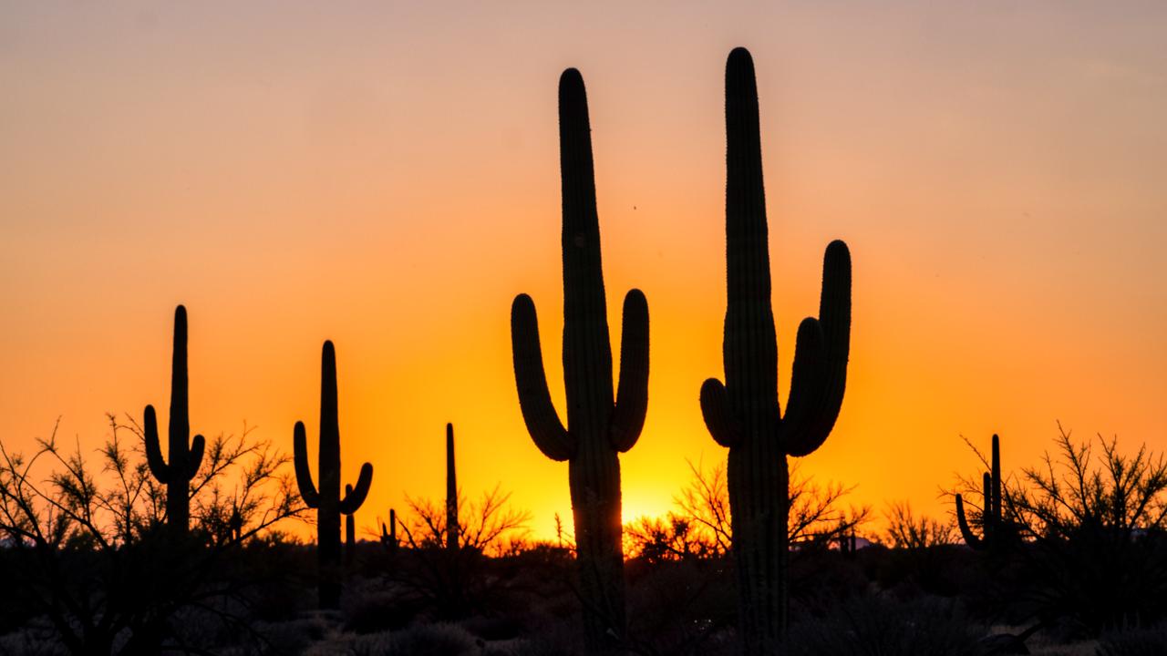 Tucson and Southern Arizona, USA