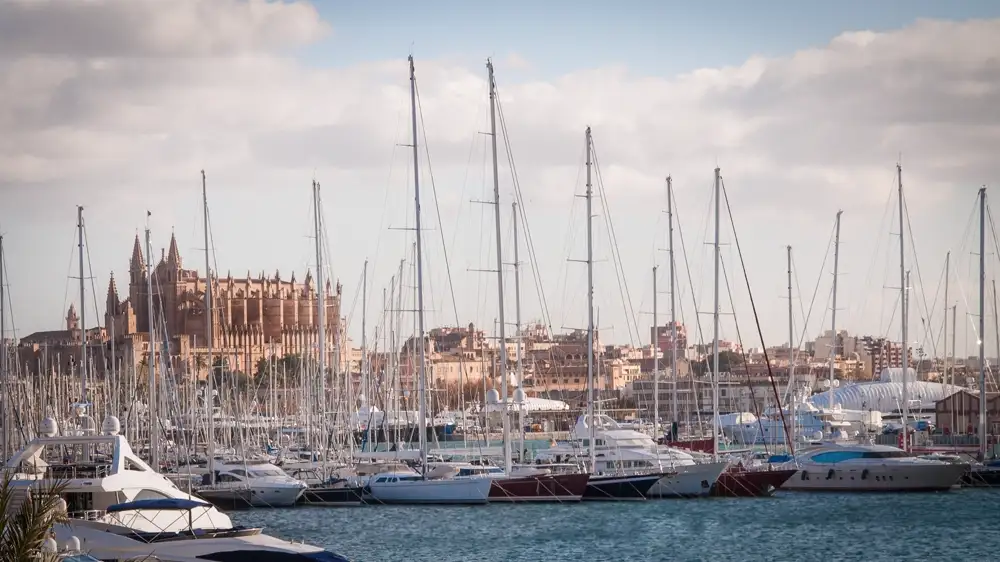 Palma cathedral above the water with the old town rooftops in front