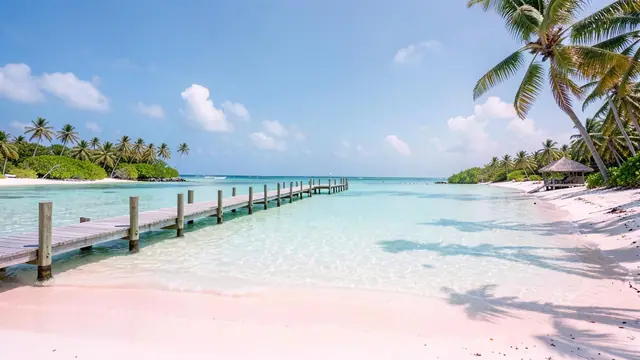 The Bahamas