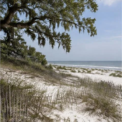 Hilton Head