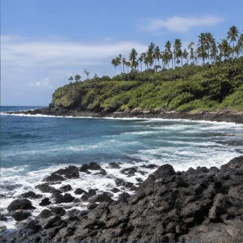 Turtle Bay