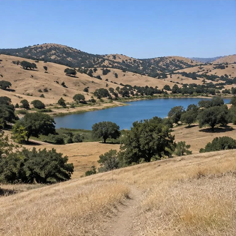 Vacaville