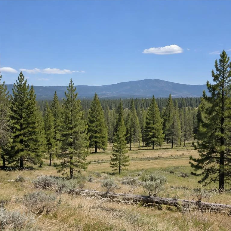 West Yellowstone